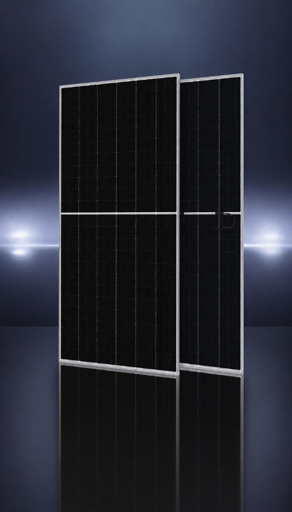 Panel solar Talesun BIPRO TM3G66M 610 a 630 W bifacial